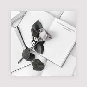 A片视频之美发沙龙
