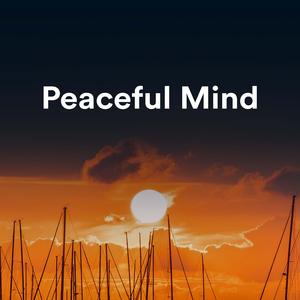 A片视频之美发沙龙
